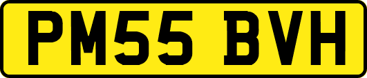 PM55BVH