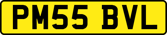 PM55BVL