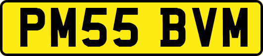 PM55BVM