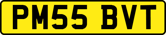 PM55BVT