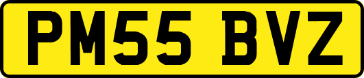 PM55BVZ