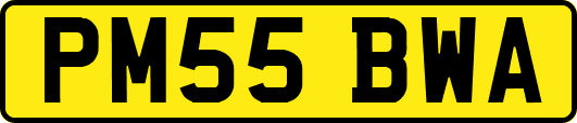 PM55BWA