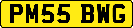 PM55BWG