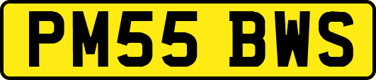PM55BWS