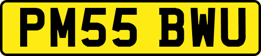 PM55BWU