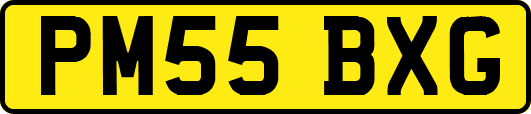 PM55BXG