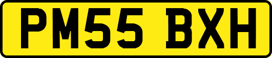 PM55BXH