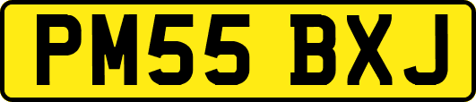 PM55BXJ