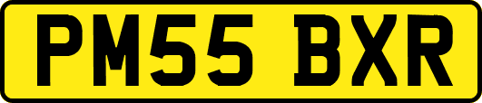 PM55BXR