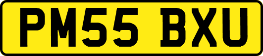 PM55BXU