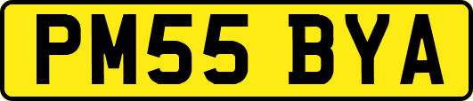 PM55BYA