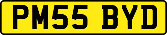 PM55BYD