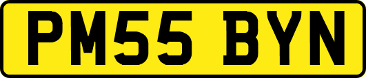PM55BYN