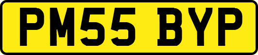 PM55BYP