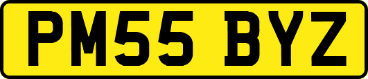 PM55BYZ