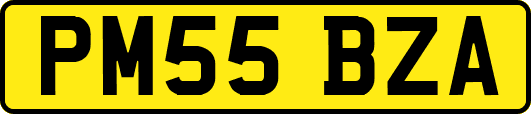 PM55BZA