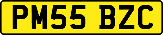 PM55BZC
