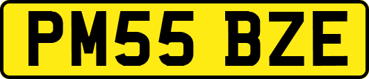 PM55BZE