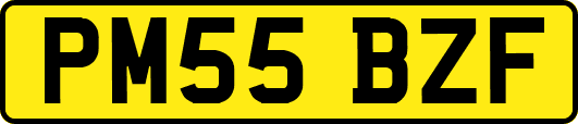 PM55BZF