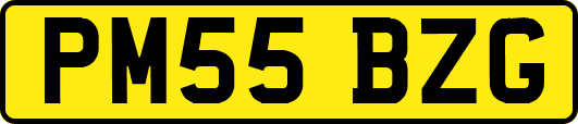 PM55BZG