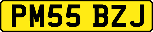 PM55BZJ