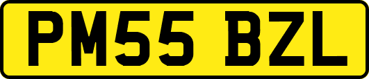 PM55BZL
