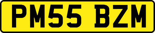 PM55BZM