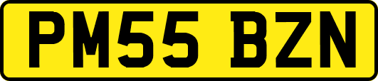 PM55BZN