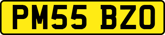 PM55BZO