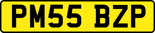 PM55BZP