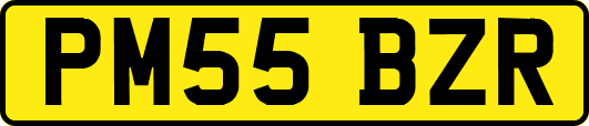 PM55BZR