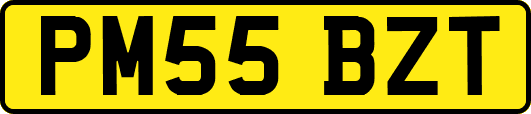 PM55BZT