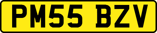 PM55BZV