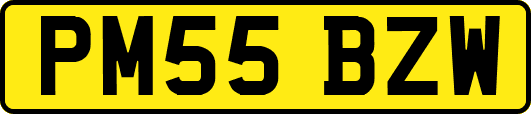 PM55BZW