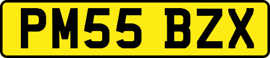 PM55BZX