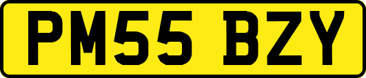 PM55BZY