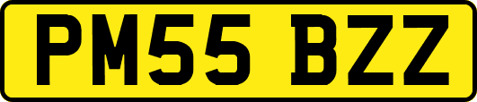 PM55BZZ