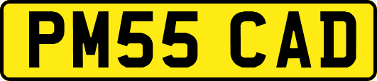 PM55CAD