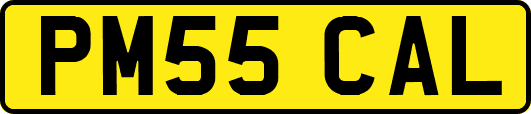 PM55CAL