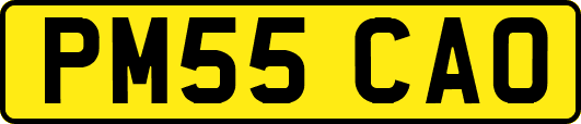 PM55CAO