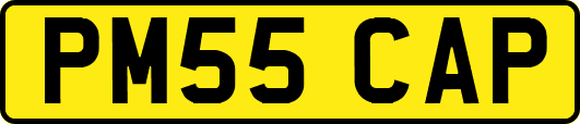 PM55CAP