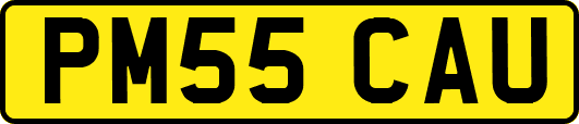PM55CAU