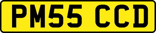 PM55CCD