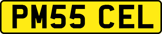 PM55CEL