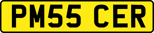 PM55CER