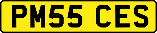 PM55CES