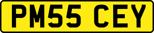 PM55CEY