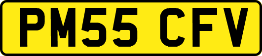 PM55CFV