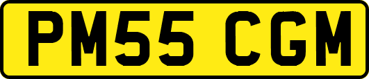 PM55CGM