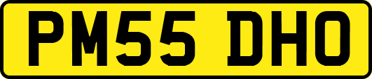 PM55DHO
